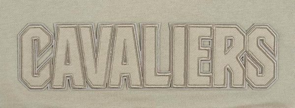 Womens NBA Neutral Cropped Pullover Hoodie - Image 30