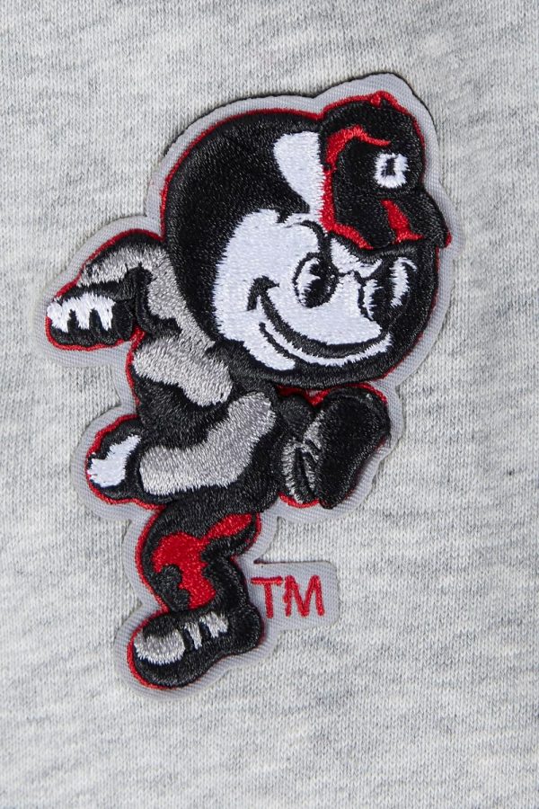 Womens College Classic Essentials Pull Over Hoodie - Image 29